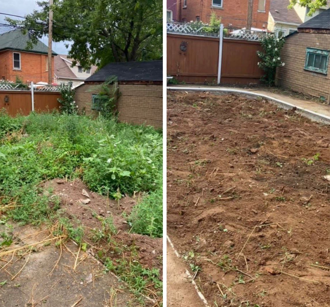 WhatsApp Image 2026-01-15 at 21.26.27